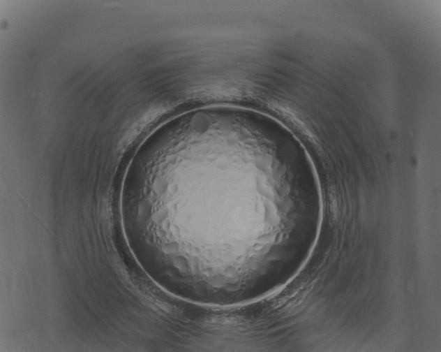 X0000073930487200608181118