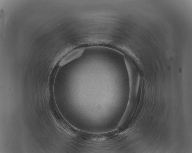 X0000073930488200608181118