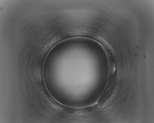 X0000073930489200608181118