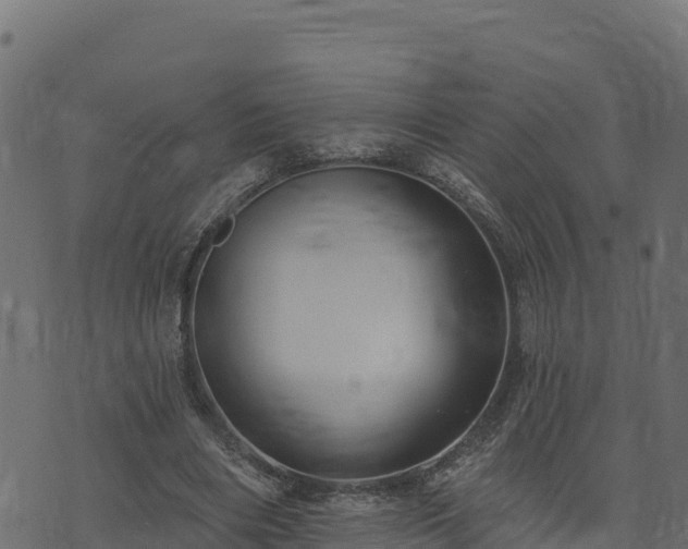 X0000073930490200608181118