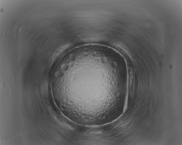 X0000073930491200608181118