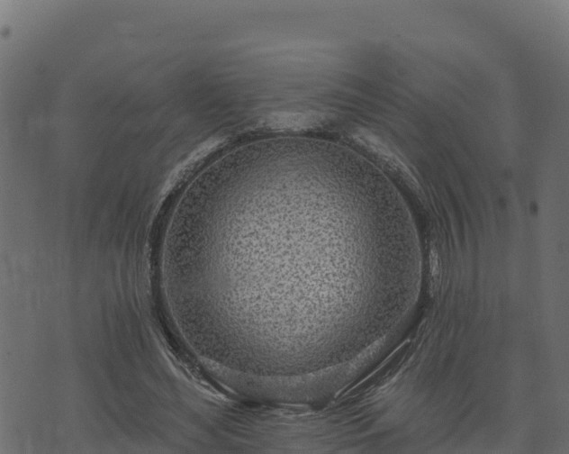 X0000073930492200608181118