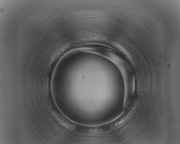 X0000073930493200608181118