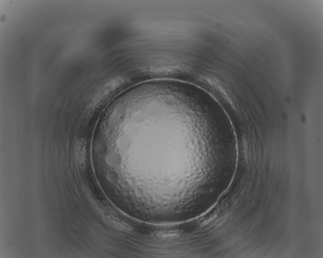 X0000073930495200608181118