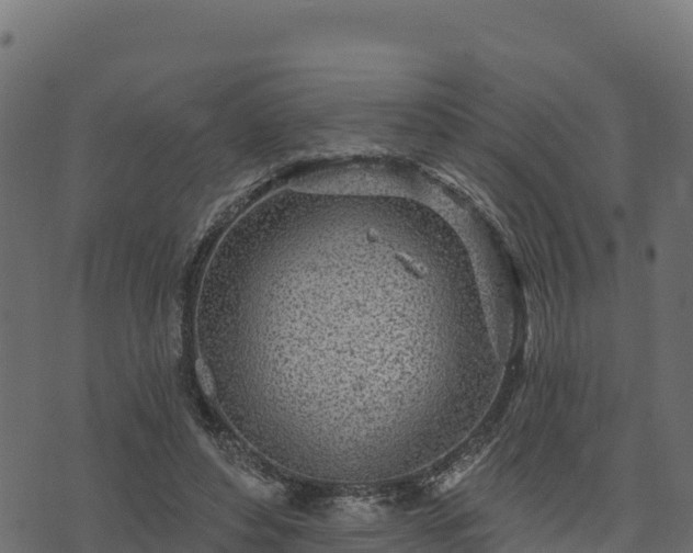 X0000073930496200608181118