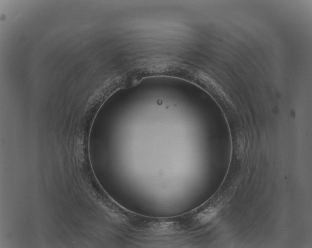 X0000073930497200608181118