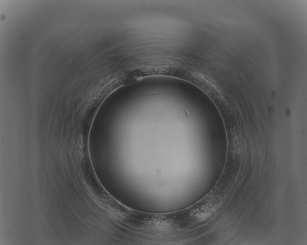 X0000073930498200608181118