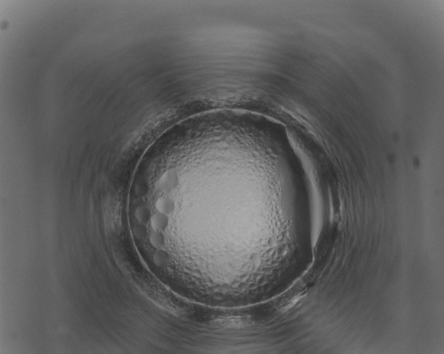 X0000073930499200608181118