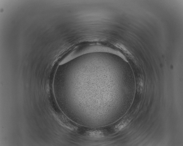 X0000073930500200608181118