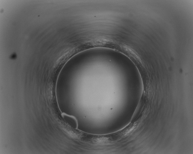 X0000073930501200608181118