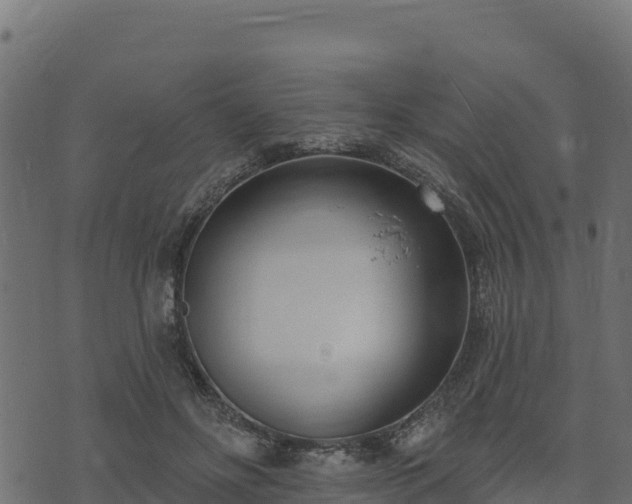 X0000073930502200608181118