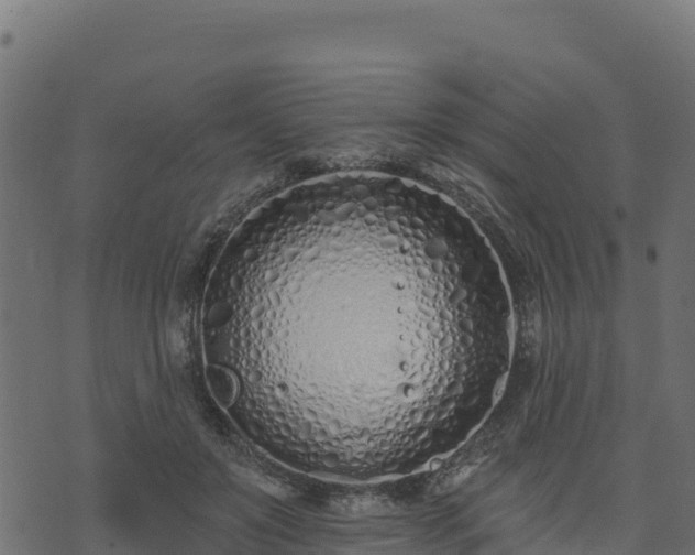 X0000073930503200608181118