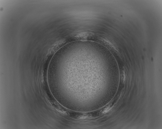 X0000073930504200608181118