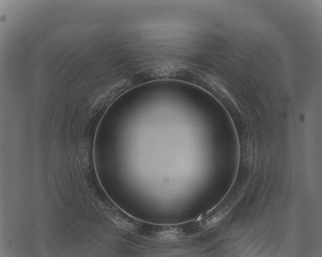 X0000073930505200608181118