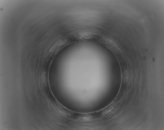 X0000073930506200608181118