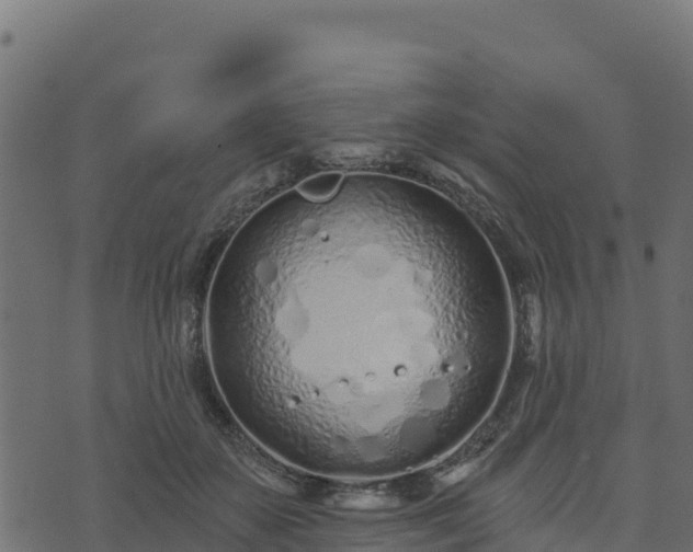 X0000073930507200608181118