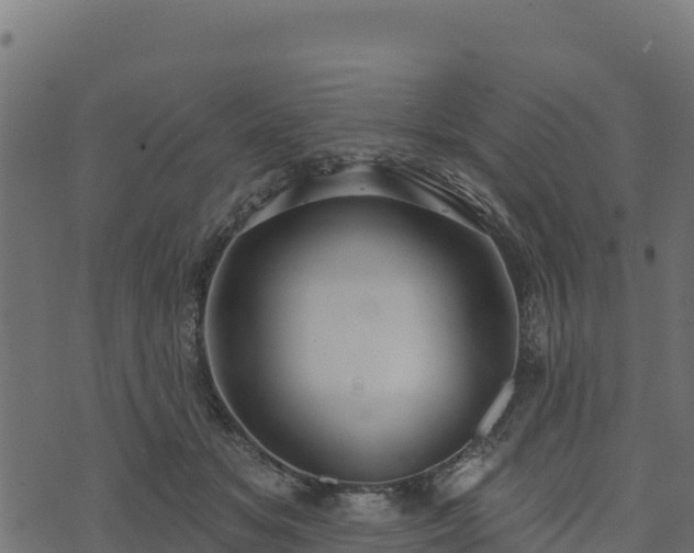 X0000073930509200608181118