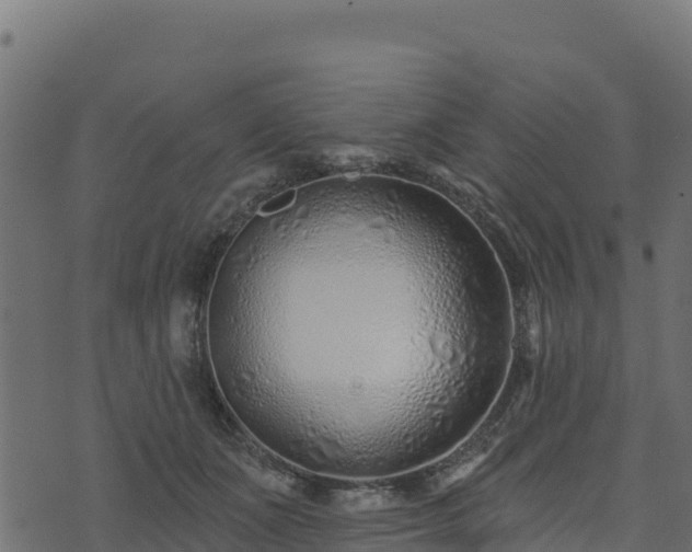 X0000073930511200608181118