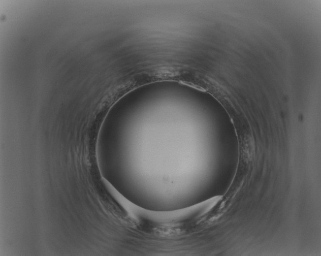 X0000073930512200608181118