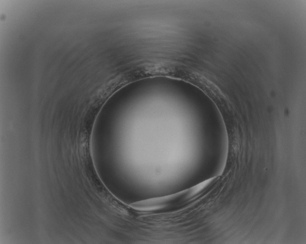 X0000073930513200608181118