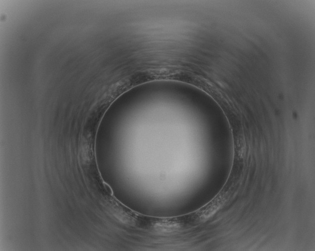 X0000073930515200608181118