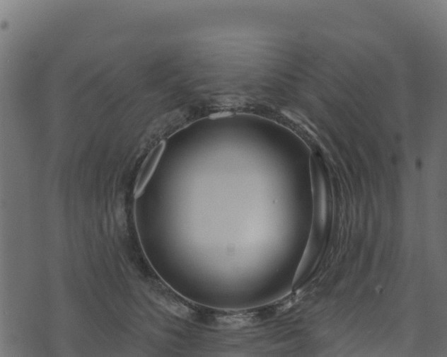 X0000073930516200608181118