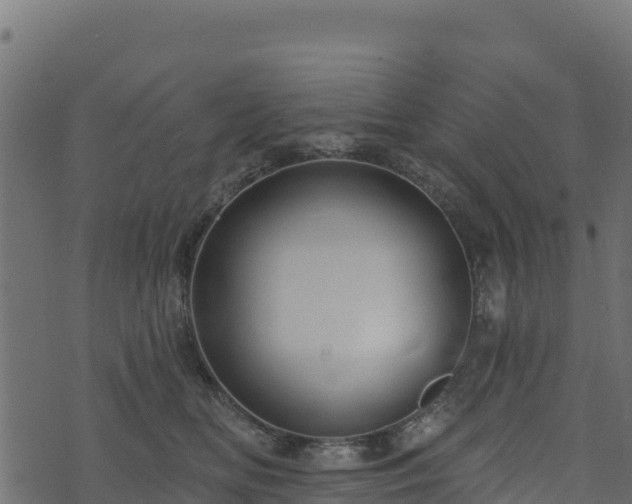 X0000073930518200608181118