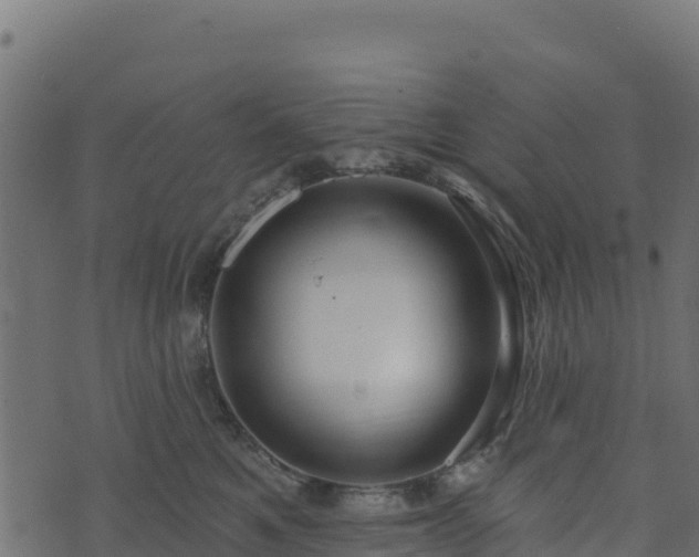 X0000073930521200608181118