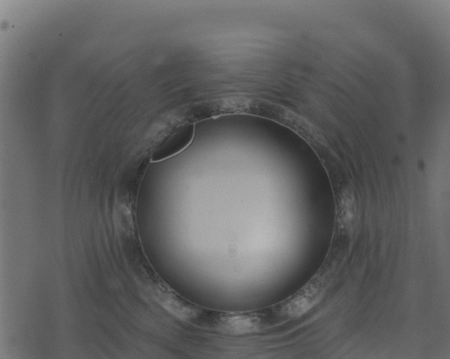 X0000073930522200608181117