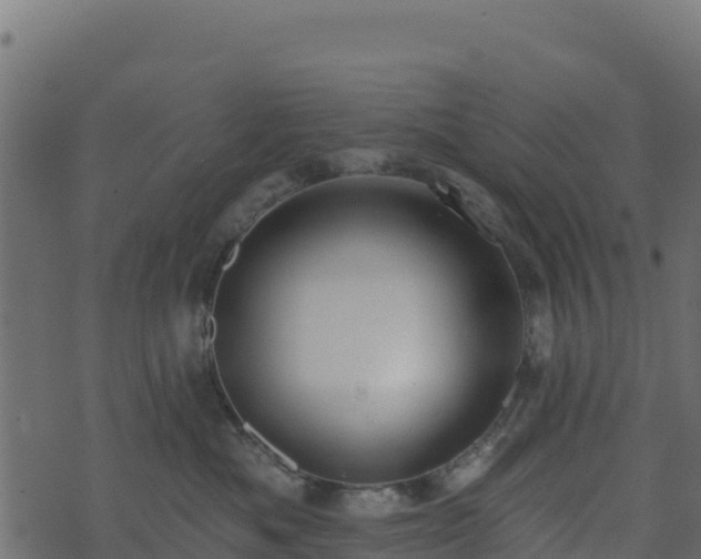 X0000073930525200608181117