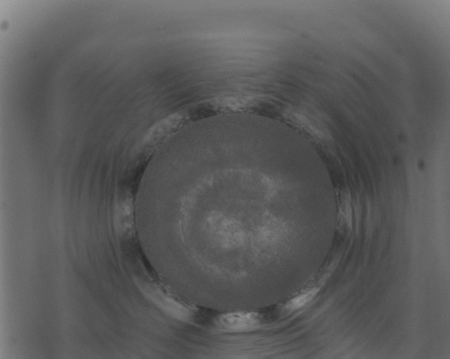 X0000073930526200608181117