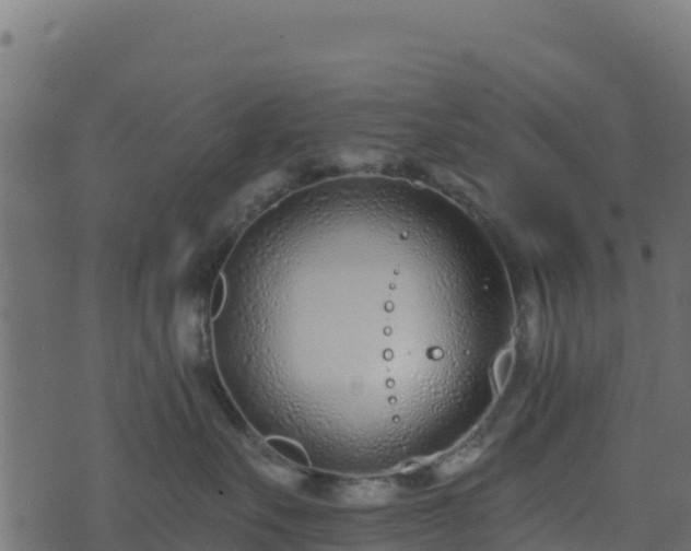 X0000073930527200608181117