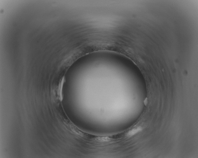 X0000073930528200608181117