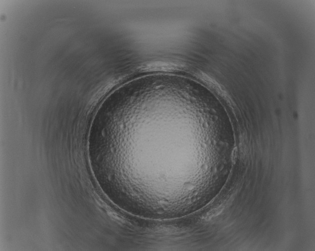 X0000073930529200608181116