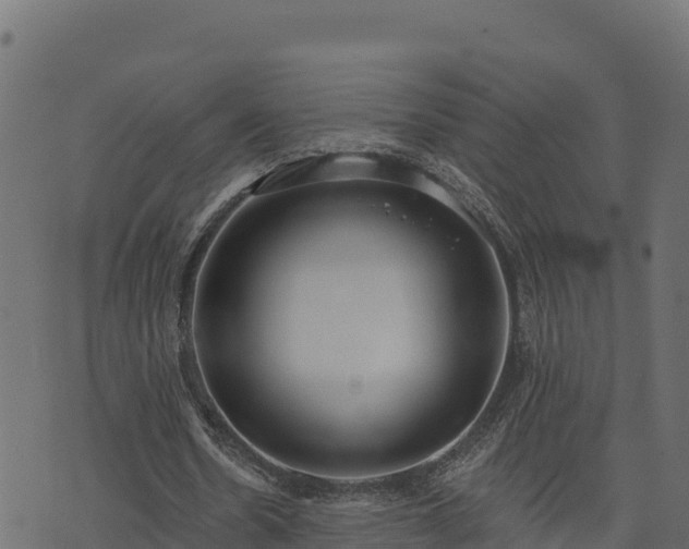 X0000073930530200608181117