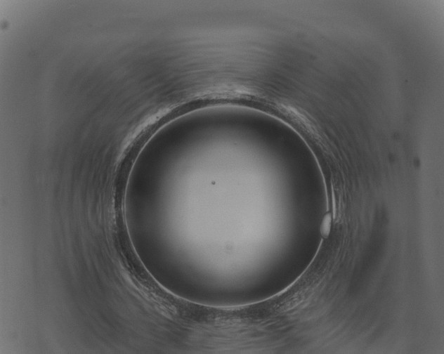 X0000073930531200608181117