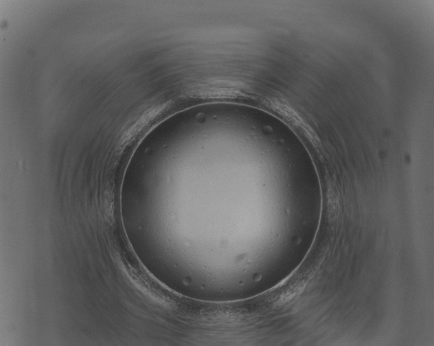 X0000073930533200608181117