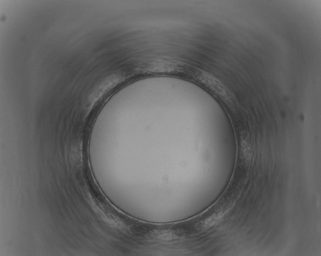 X0000073930534200608181117