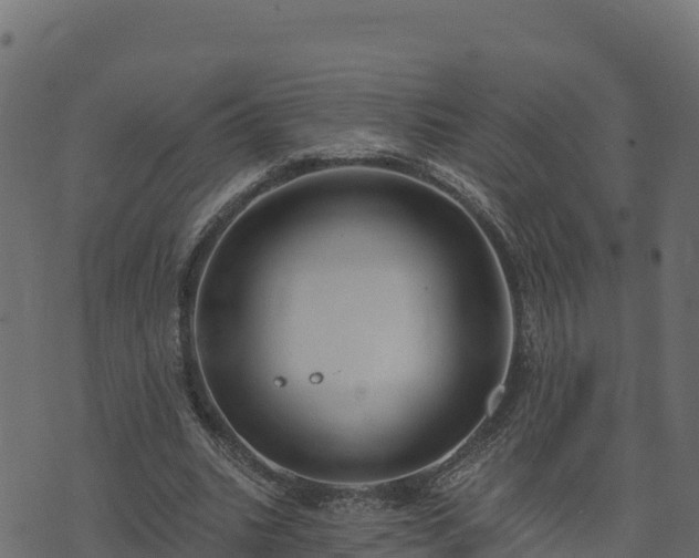 X0000073930535200608181117