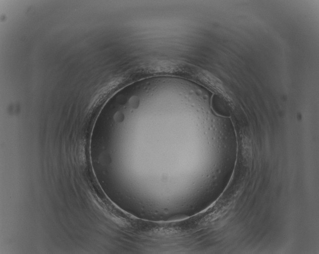 X0000073930537200608181117