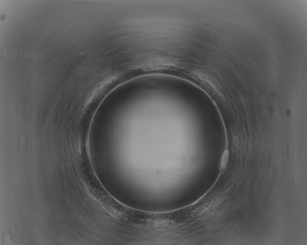 X0000073930539200608181117