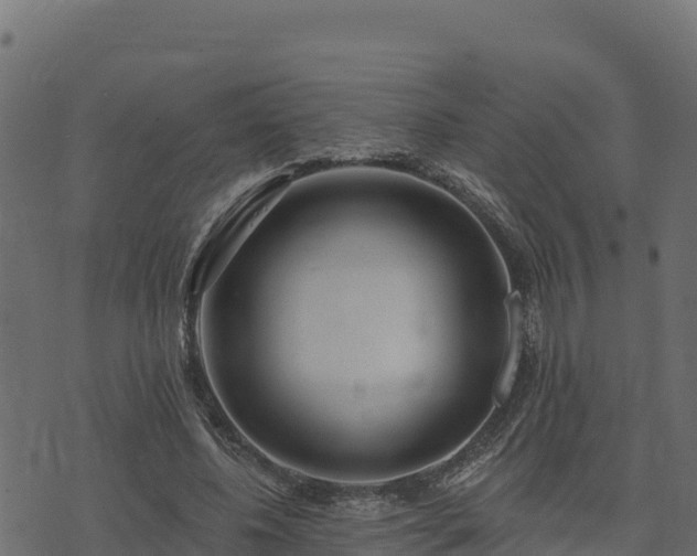 X0000073930540200608181117