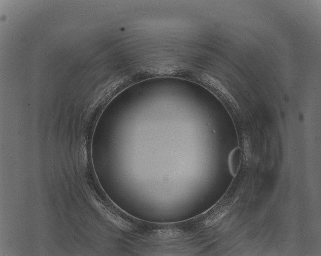 X0000073930541200608181117