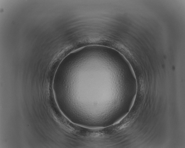 X0000073930542200608181117