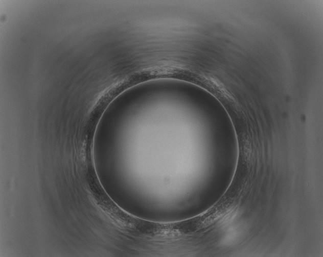 X0000073930543200608181117