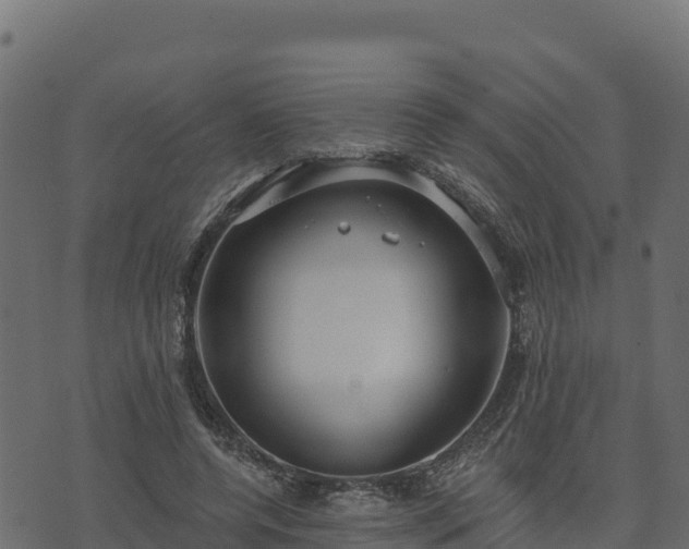 X0000073930544200608181117