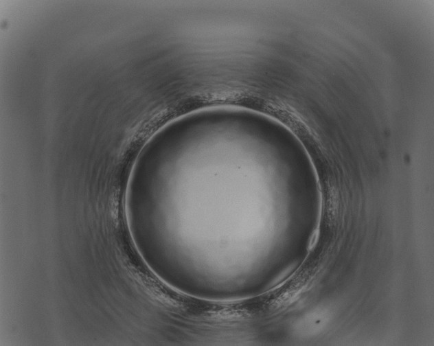 X0000073930545200608181117