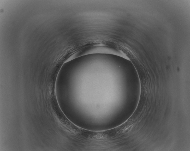 X0000073930546200608181117