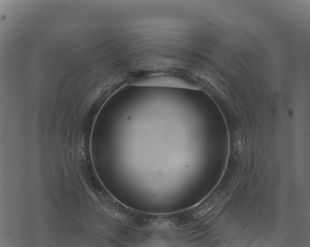 X0000073930547200608181117