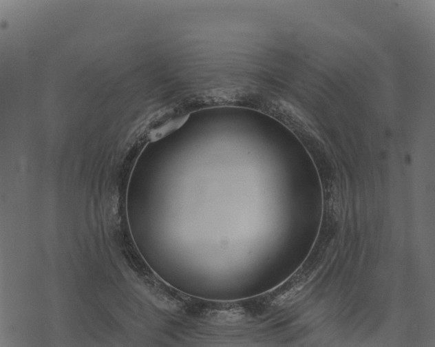 X0000073930548200608181117